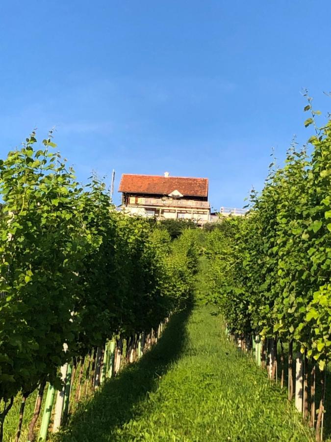 Appartement Georgiberg Ehrenhausen Esterno foto